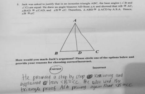 Figure 3. Elizabeth’s response to a questionnaire question  