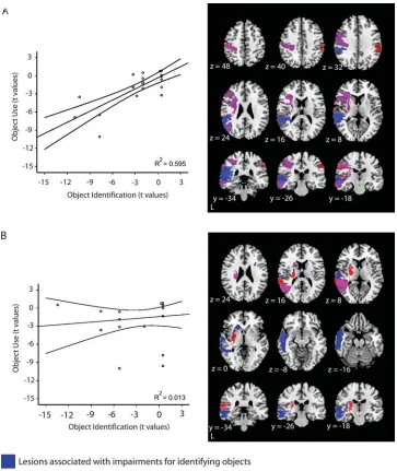 Figure 7. Behavioral performance of patients according to anatomy of lesionsIn a second level analysis, the 42 patients were separated into two groups according to whether