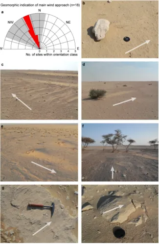Figure 3. a) Direction of all geomorphic indicators of Shamal predominance mapped during the field survey (Figure 1a)