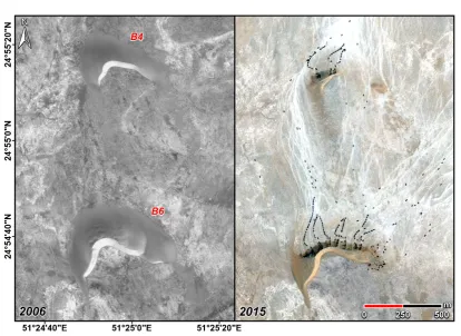 Figure 5. Documentation of Sand mining at two dunes of the core study area between 2006 and 2015 as well as associated massive frequentation of >100 heavy trucks at a time, which access the NW part of the core study area from the upwind corridor