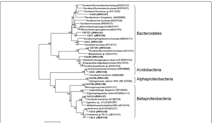 Figure 1 Neighbor-joining tree showing the phylogenetic relationship of bacteria 16S rRNA acquired from the activated carbon packed MFC