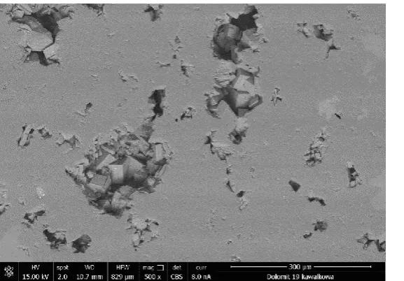 Fig. 8 An image of porous microstructure of dolomite 5P. BSE, mag. 500x 