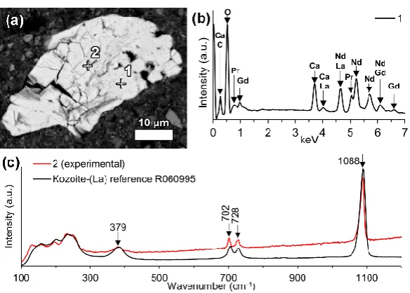 Figure 5. An ancylite group LREE carbonate phase depicted on (a) backscattered electron image with its (b) EDS spectrum and (c) Raman spectrum compared to a reference spectrum of kozoite-(La) [60]