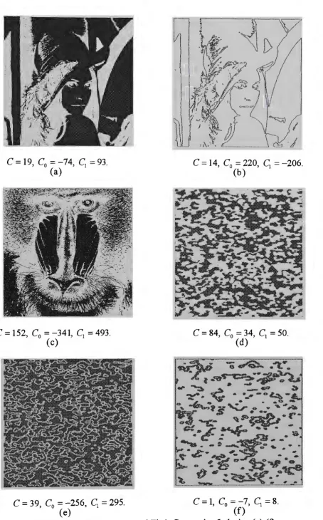 Figure 10. Sample Pictures and Their Connection Indexing (a)-(t). 