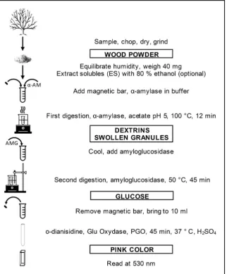 Figure 1. Schematic of starch analysis.
