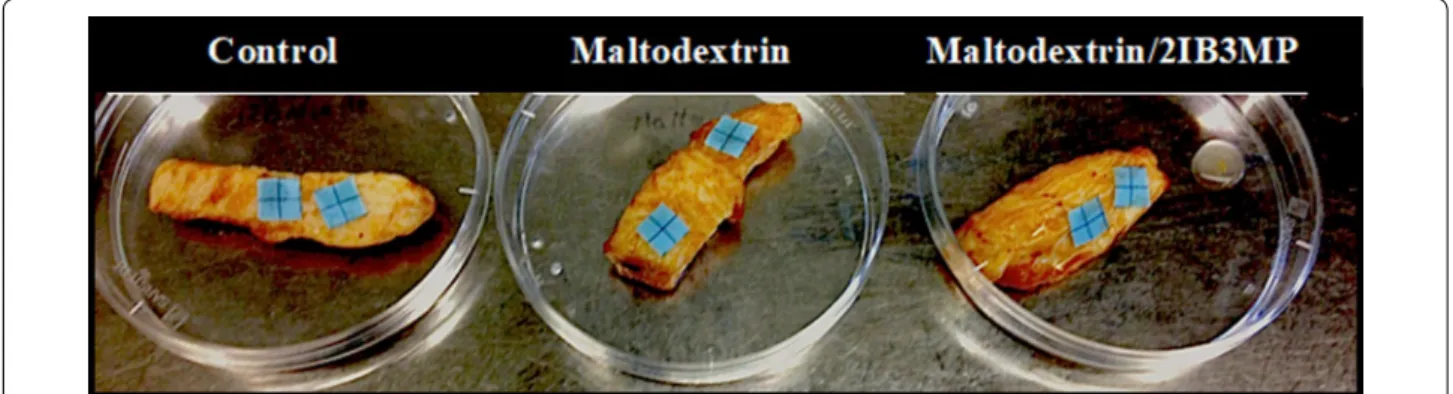 Fig. 1  New imprint method for the visualization of microbial contaminations on processed meat strips