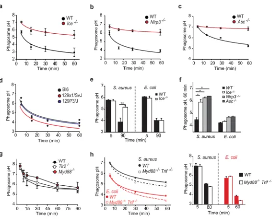 Figure 4. The NLRP3 inflammasome regulates acidification of S. aureusTlr2 phagosomesa-d, The kinetics of acidification of HI S