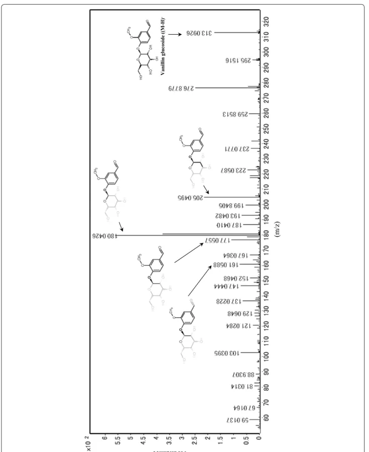Fig. 3  The mass spectrometry of vanillin glucoside produced during the phenolic biotransformation of Aspergillus luchuensis