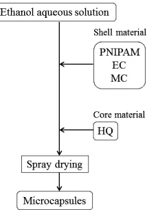 Figure 1. Flow chart for preparing microcapsules with spray drying method.  