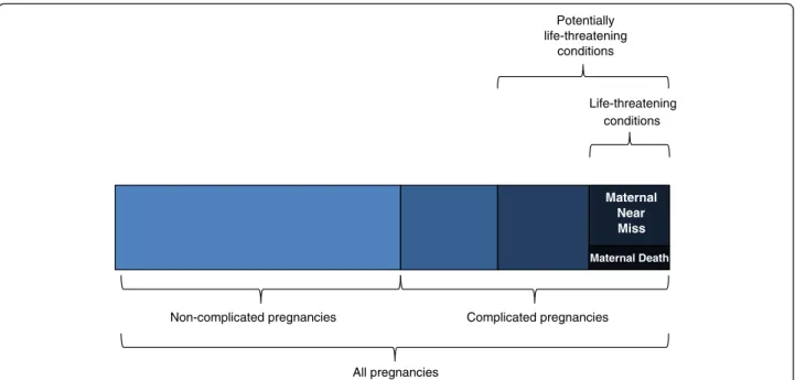 Fig. 1 Maternal morbidity and disability spectrum [6]