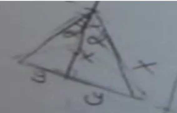 Figure 5: Screen shot of the drawing of the triangle’s angles and lengths  