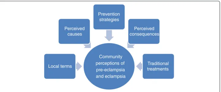 Fig. 2 Thematic categories used in analysis