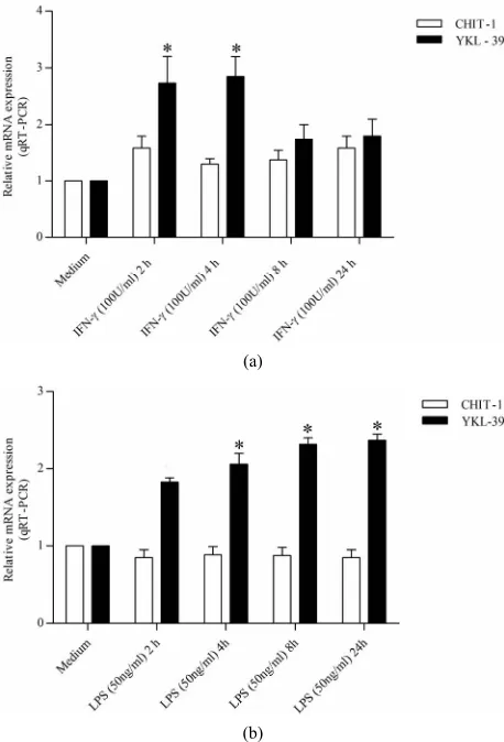 Figure 3day levels of CHIT-1 expression were increased by 15.12, 