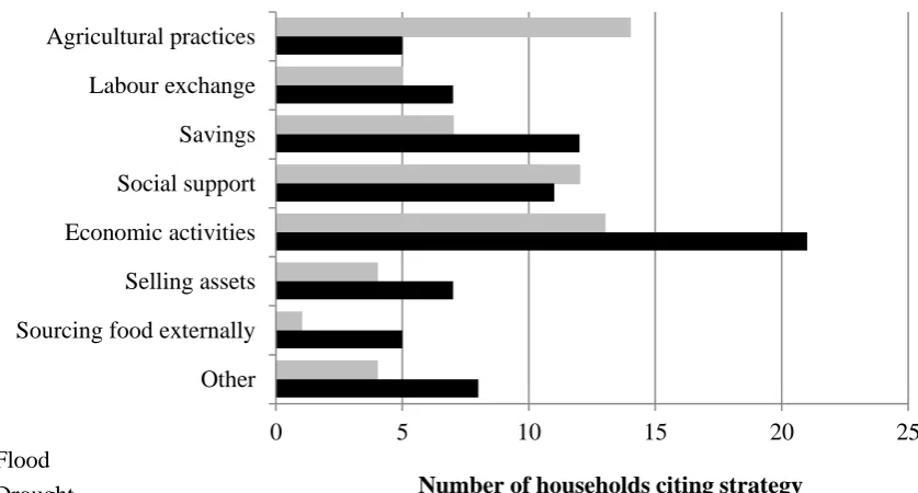 Figure 2. Flood and drought coping strategies identified during semi-structured interviews 