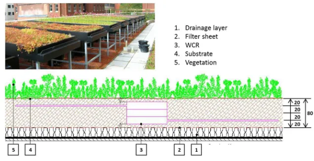 Figure 1. The experimental site at the University of Sheffield, UK and section view of the 