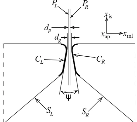 Figure 3.Mid-coronal cross-section showing initial conﬁguration: rigid planes PL and PR separated by distance dp, theleft and right VFs separated initially by at least the gap dg and located symmetrically on either side of the respectiverigid planes, conta