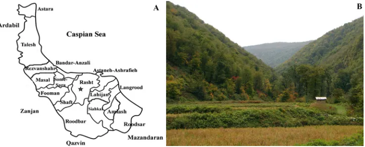 Fig. 1. A. Map of Guilan province and its cities, B. landscape of Guilan province with vast forests and rice fields.