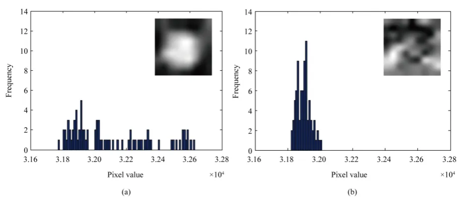 Figure 2. Histograms of the ROI images shown in upper right corners. The size of ROI images is 9 × 9 pixels