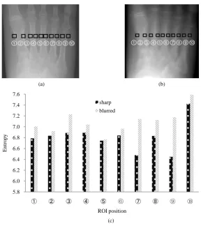 Figure 5. (a) A sharp image and (b) a blurred image obtained from a hand phantom. (c) Output entropies at the corresponding 10 different ROI posi-tions for the sharp and blurred images