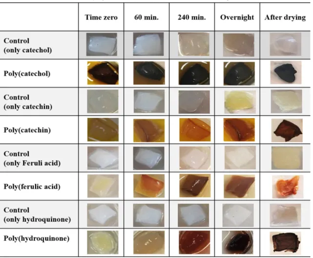 Table 3  Bacterial cellulose samples after polymerization of catechol, catechin, ferulic acid and hydroquinone with native  laccase immobilized at 4 °C; the polymerization was conducted at 50 °C overnight