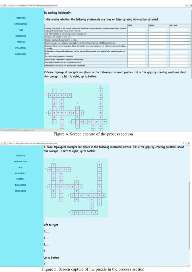 Figure 4. Screen capture of the process section 