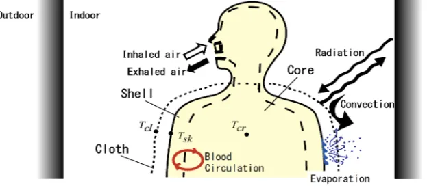 Figure 1. Human body system. 