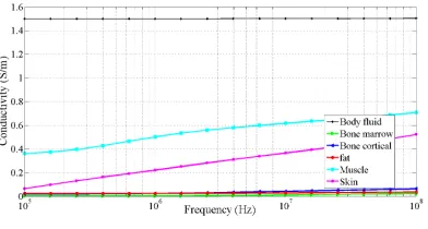 Fig. 2. Relative permittivity of tissues at different frequencies. Data source[17]