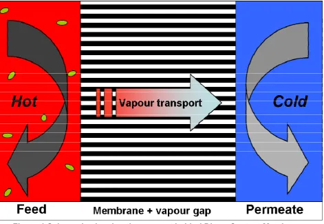 Figure 1 Schematic showing the concept behind Direct Contact Membrane 
