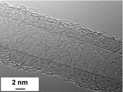 Figure 2 TEM image of a multiwalled CNT showing a number of concentric walls.  