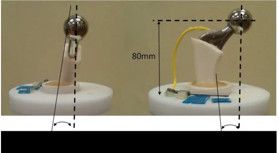 Figure 2 - Orientation and fixation method utilized 