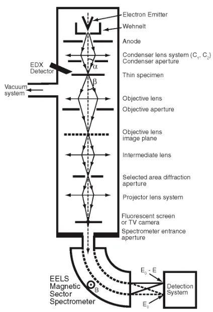 Figure 1. Schematic diagram of the layout of an analytical conventional transmission electron microscope (CTEM) itted with an energy dispersive X-ray (EDX) detector and an electron energy loss (EEL) spec-trometer (after Brydson 2001, 2011)