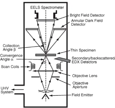 Figure 2. Schematic diagram of the layout of a dedicated analytical scanning transmission electron micro-scope (STEM) itted with an energy dispersive X-ray (EDX) detector and an electron energy-loss (EEL) spectrometer (after Brydson 2001, 2011)