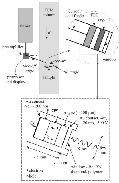 Figure 5. Energy dispersive X-ray analysis in the TEM (after Brydson 2011). Schematic diagram showing the components and location of an EDX detector in a TEM.