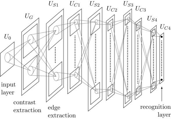 Figure 2.12: A typical architecture of the Neocognitron [38]