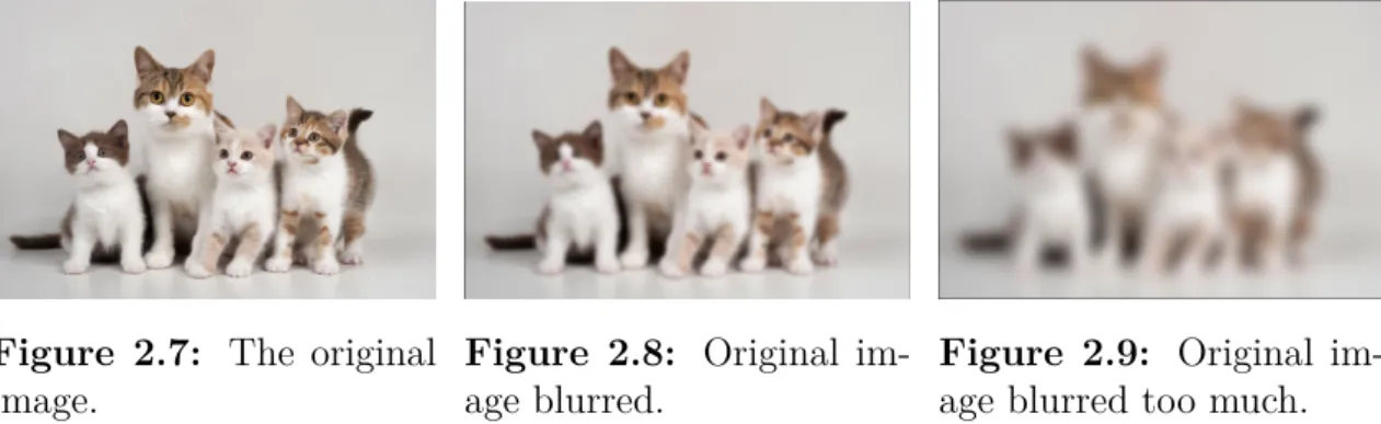 Figure 2.7: The original image.