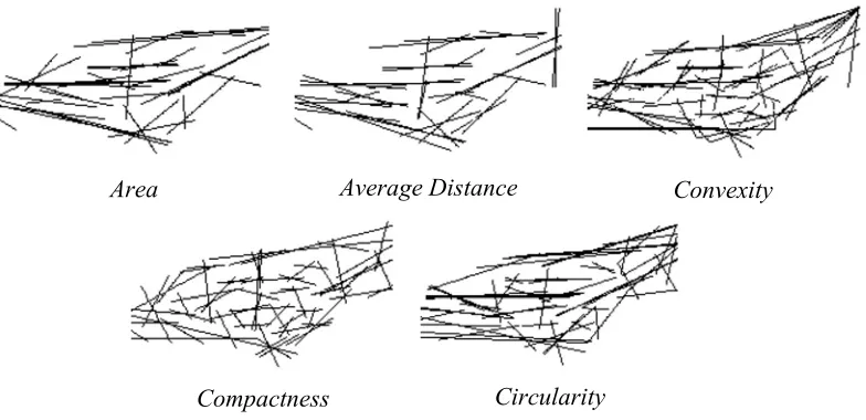 Figure 7: Axial Lines Generated by the Isovist Sorting Algorithm 