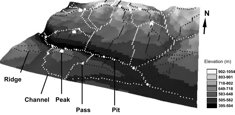 Figure 4 . Fundamental topographic features of the study area draped over the DEM. The            