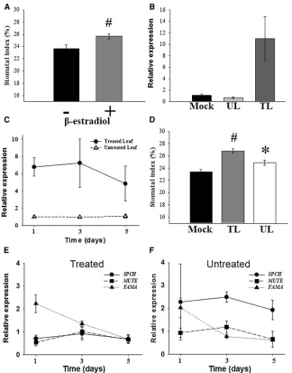 Figure 2. Inducible Expression of phyB