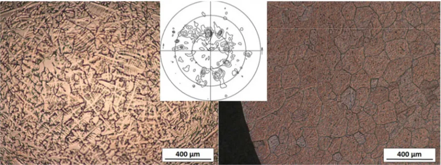 Figure 8. (Left) Light microscope image of the fragmented dendrite structure observed on the 