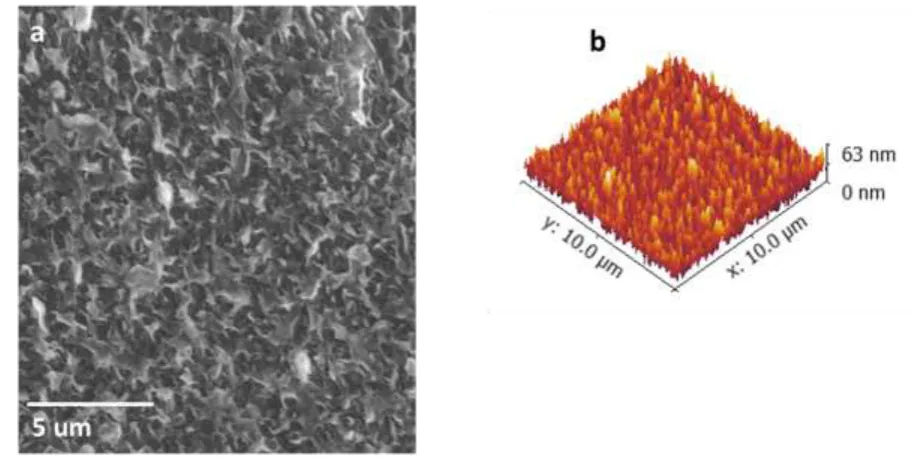 Figure 2: a) SEM image of control membrane and b) AFM analysis of control membrane with Ra 63 nm