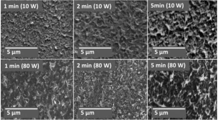 Figure 3: SEM images from H2O plasma modified membranes. 