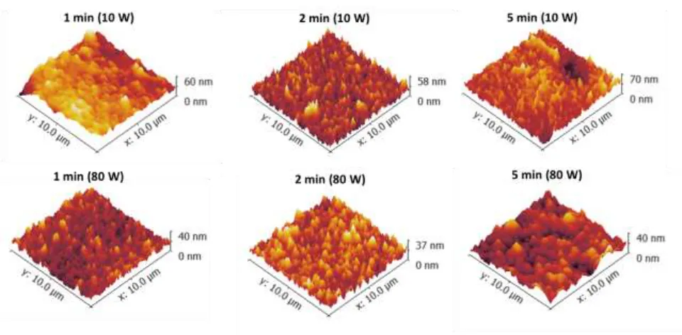 Figure 6: AFM topology mapping for He plasma modified membranes. 