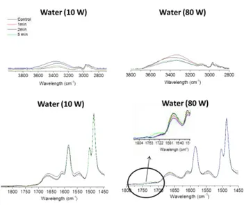 Figure 7: FTIR analysis from H2O plasma modified membranes: on the top, analysis of N-H and O-H bands at 3330 cm-1for modified membranes at 10 W and 80 W; on the bottom, analysis of amide bands from1663 to 1541 cm-1 for modified membranes at 10 W and 80 W.