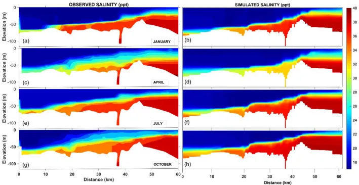 Figure 9. Salinity profiles of observed (a) and modeled (b) in January, observed (c) and modeled (d) in April, observed (e) and modeled (f) in July, and observed (g) and modeled (h) in October