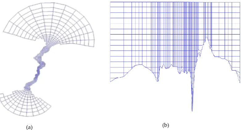 Figure 5. Hydrodynamic Grid of the Model (a) vertical and (b) horizontal directions 