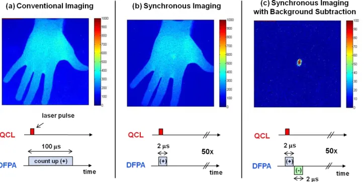 Fig. 3. (a) A conventional thermal image of a hand which is illuminated by a QCL. The single laser pulse during the 100-μs-long integration period is too weak to be visible