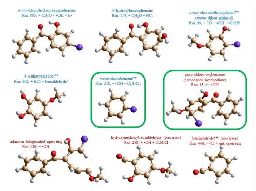 Figure 9.  Some specific stable (blue captions) and pseudo-stable (red captions) 1st-generation 