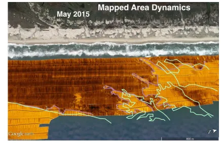 Figure 10. Side-scan mosaic and classification shapefiles based on 2011 survey data. 