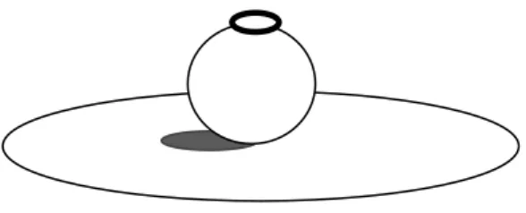 Figure 1.  Illustration of exploratory Coin Toss task. 