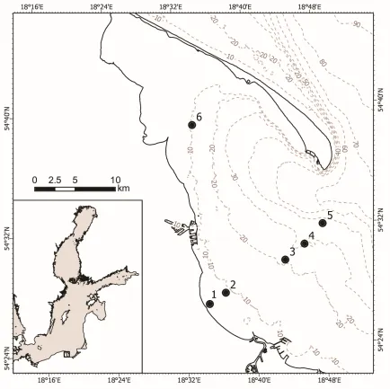 Figure 1. Study area and location of the sampling stations in the Gulf of Gdańsk (southern Baltic Sea)